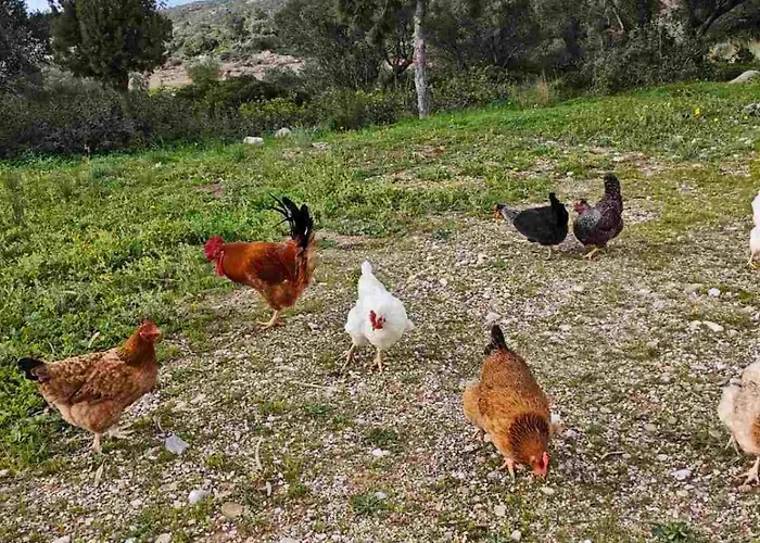 Kalamos Heights Kalamos (Kythira)